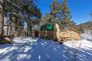 730 Cheyenne Creek, Lake George, CO 80827 - Photo 29