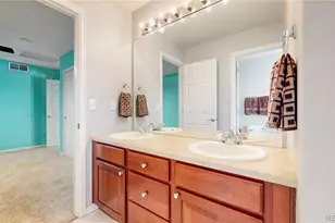 10797 Hickory Ridge St, Highlands Ranch, CO 80126 - Photo 23