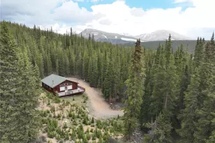 1292 Valley of the Sun Dr, Fairplay, CO 80440 - Photo 3