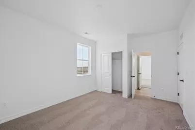 1186 Weller Street, Timnath, CO 80547 - Photo 15