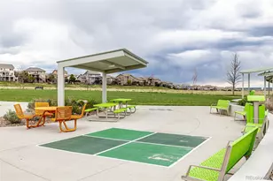 7814 Grady Cir, Castle Rock, CO 80108 - Photo 33