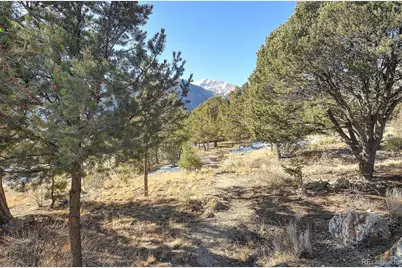 16819 County Road 162 #A, Nathrop, CO 81236 - Photo 27