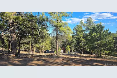 595 Mustang Trail, Florissant, CO 80816 - Photo 1