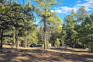 595 Mustang Trail, Florissant, CO 80816 - Photo 1