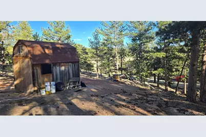 595 Mustang Trail, Florissant, CO 80816 - Photo 5