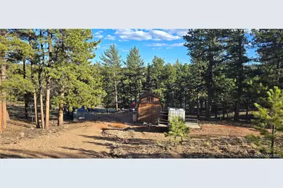 595 Mustang Trail, Florissant, CO 80816 - Photo 3