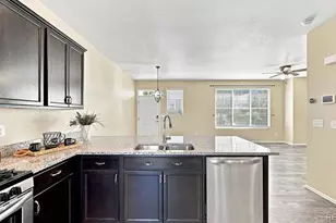 11774 Lovegrass Dr, Parker, CO 80138 - Photo 11