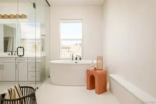 1158 Brotherton Pt, Castle Rock, CO 80104 - Photo 19