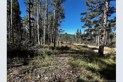 Lot 2652 Petito Drive, Fort Garland, CO 81133 - Photo 5