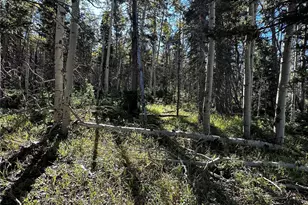 Lot 2652 Petito Dr, Fort Garland, CO 81133 - Photo 1