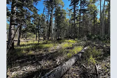 Lot 2652 Petito Drive, Fort Garland, CO 81133 - Photo 3