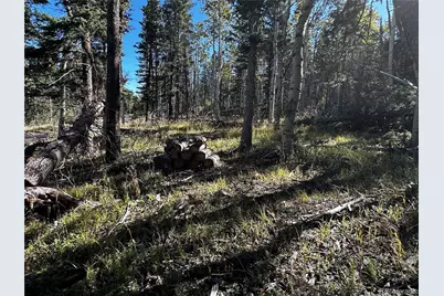 Lot 2652 Petito Drive, Fort Garland, CO 81133 - Photo 9