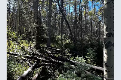 Lot 2652 Petito Drive, Fort Garland, CO 81133 - Photo 13