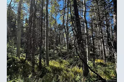 Lot 2652 Petito Drive, Fort Garland, CO 81133 - Photo 11