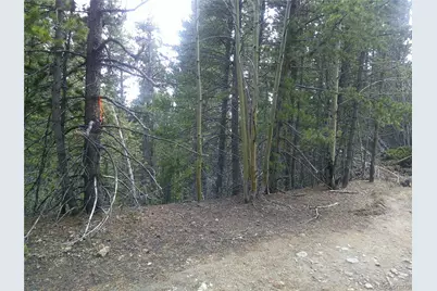 Lot #441 Hillside Road, Idaho Springs, CO 80452 - Photo 5