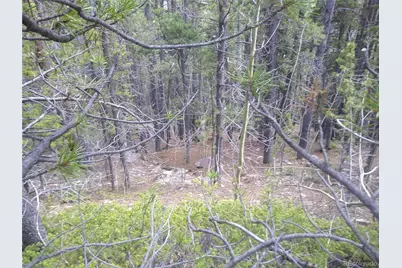 Lot #441 Hillside Road, Idaho Springs, CO 80452 - Photo 1