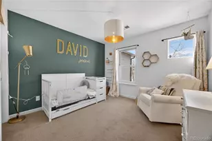 3707 Pecos Trail, Castle Rock, CO 80109 - Photo 21