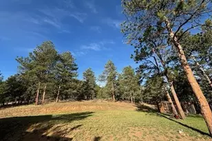 2013 Swede Gulch Rd, Evergreen, CO 80439 - Photo 41