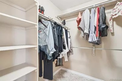 10916 Towerbridge Road, Highlands Ranch, CO 80130 - Photo 21