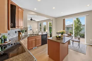 10524 Applebrook Cir, Highlands Ranch, CO 80130 - Photo 11