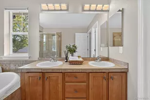 10524 Applebrook Cir, Highlands Ranch, CO 80130 - Photo 27