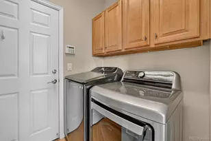 10524 Applebrook Cir, Highlands Ranch, CO 80130 - Photo 17