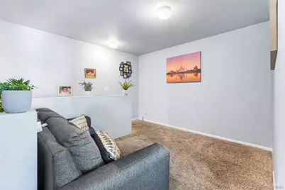 4528 Andes Street, Denver, CO 80249 - Photo 9