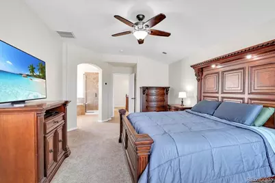 1335 Galactic Place, Castle Rock, CO 80108 - Photo 19