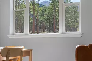 16500 Pine Grove Pkwy, Buena Vista, CO 81211 - Photo 37