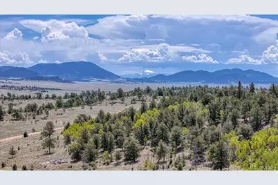 4332 Goldenburg Canyon Road, Hartsel, CO 80449 - Photo 7