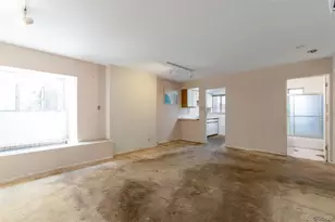 549 Detroit St, Denver, CO 80206 - Photo 7