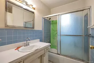 549 Detroit St, Denver, CO 80206 - Photo 13