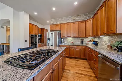 7418 Cameron Drive, Larkspur, CO 80118 - Photo 17