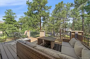 7418 Cameron Dr, Larkspur, CO 80118 - Photo 39