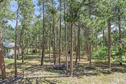 7418 Cameron Drive, Larkspur, CO 80118 - Photo 41