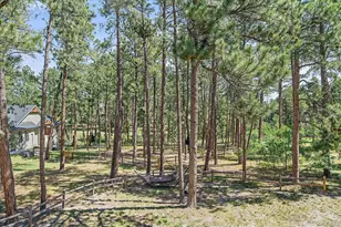 7418 Cameron Dr, Larkspur, CO 80118 - Photo 41