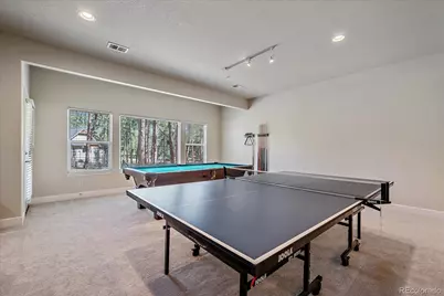 7418 Cameron Drive, Larkspur, CO 80118 - Photo 33