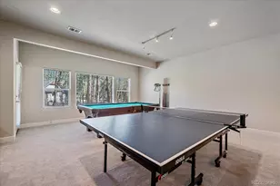 7418 Cameron Dr, Larkspur, CO 80118 - Photo 33
