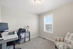 9063 Fraser River St, Littleton, CO 80125 - Photo 27