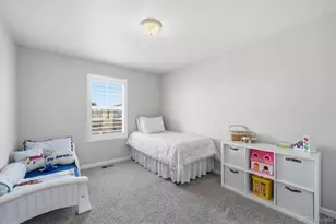 9063 Fraser River St, Littleton, CO 80125 - Photo 23