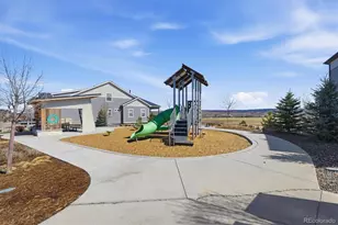 9063 Fraser River St, Littleton, CO 80125 - Photo 31