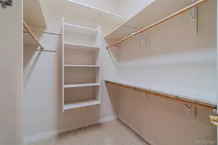 14335 Eagle Villa Grove, Colorado Springs, CO 80921 - Photo 27