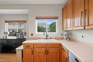 1181 Riddlewood Rd, Highlands Ranch, CO 80129 - Photo 11