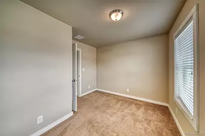 203 Chestnut Street, Leadville, CO 80461 - Photo 21