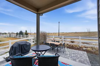 744 Penstemon Drive, Henderson, CO 80640 - Photo 31