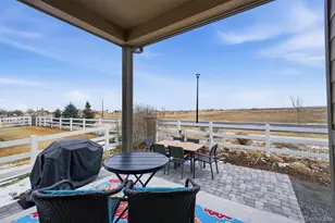 744 Penstemon Dr, Henderson, CO 80640 - Photo 31