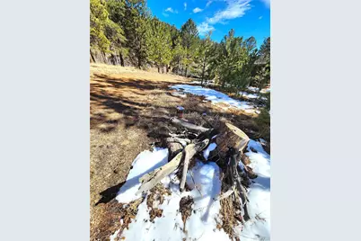 144 Gray Street, Bailey, CO 80421 - Photo 21