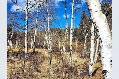 144 Gray Street, Bailey, CO 80421 - Photo 1