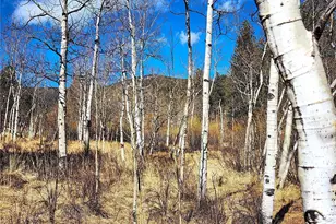 144 Gray St, Bailey, CO 80421 - Photo 1