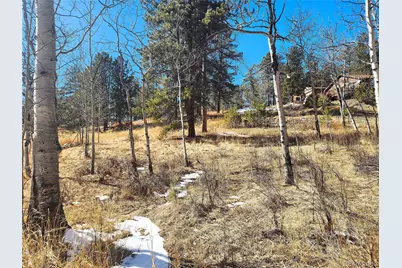 144 Gray Street, Bailey, CO 80421 - Photo 7